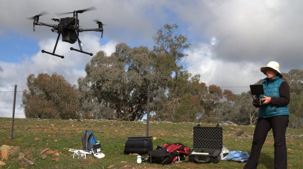 Wildlife Drones in action