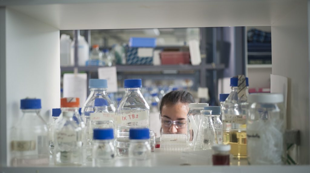 lab photo