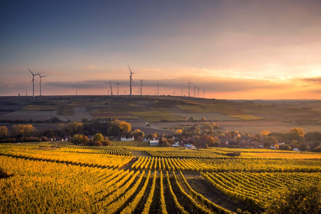 A farming field with a wind farm.