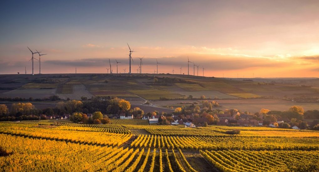 A farming field with a wind farm.