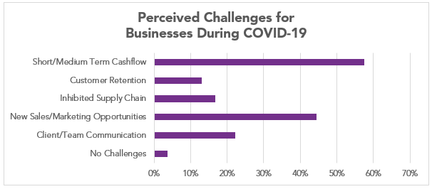 Perceived Challenges for Businesses During COVID-19