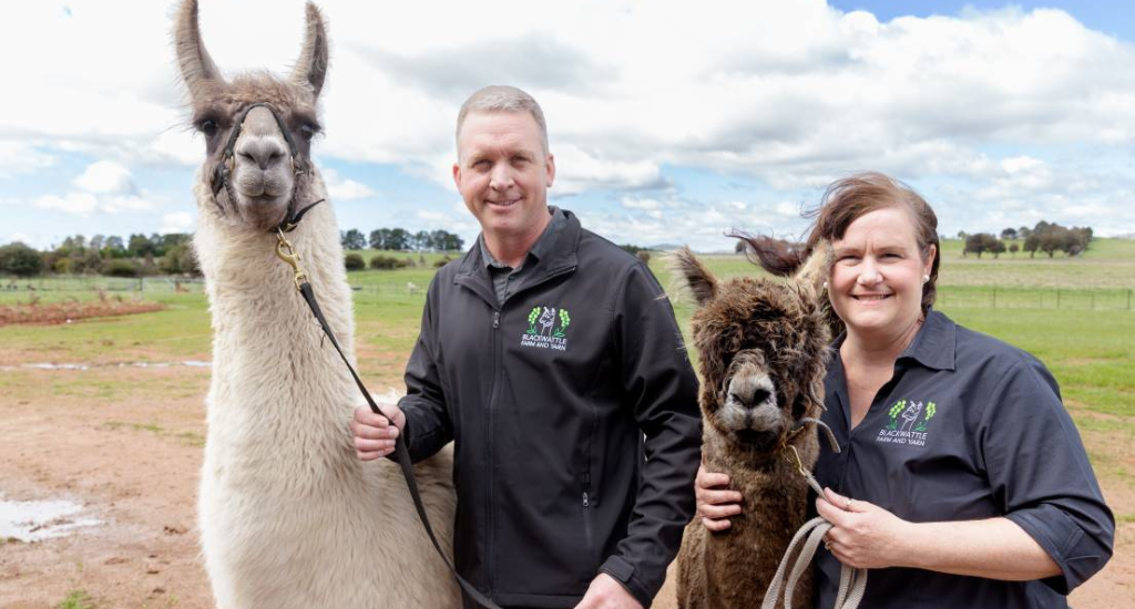 Blackwattle Alpaca Farm