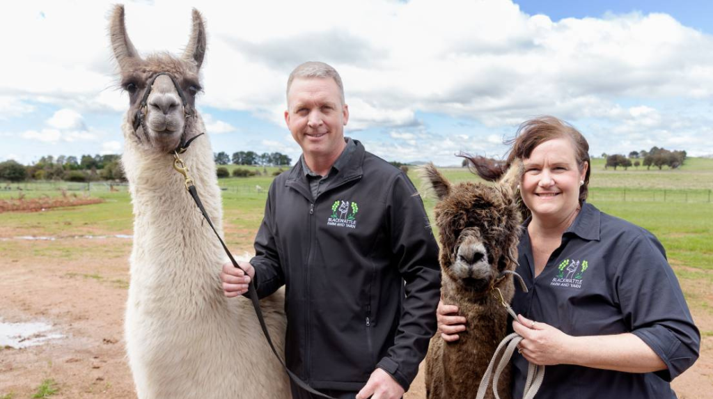 Blackwattle Alpaca Farm